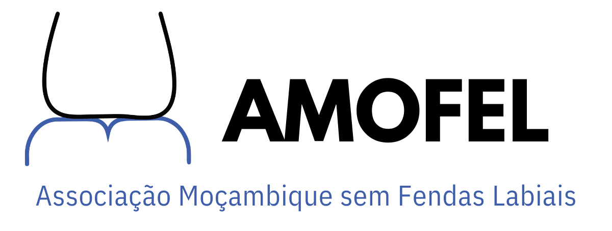 logo-tipo-corporate-AMOFEL_240721_173116.pdf-2-e1722183588507